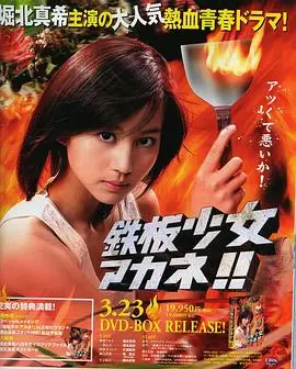 铁板少女小茜 海报