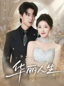 《华丽人生》：重塑经典的艺术之作，探索生命的意义