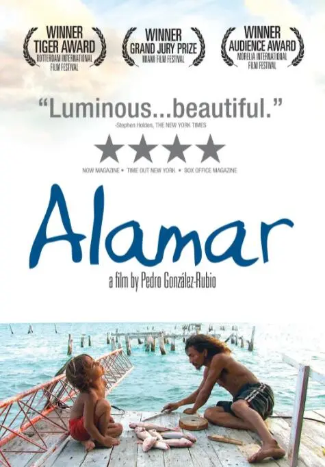 《拥抱大海》：一场治愈心灵的海洋之旅，感受生命的悸动与自由